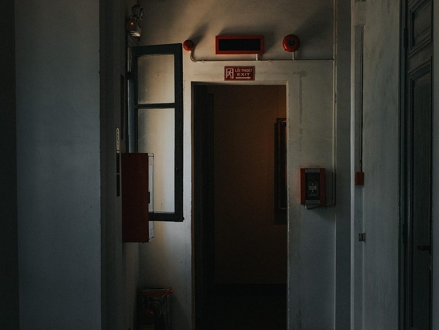 Dinas Damkar Barito Selatan Hapus Sarang Tawon di Pelabuhan