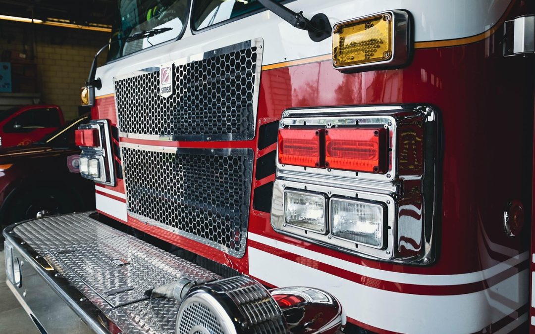 Evakuasi Ular di Kebun Warga